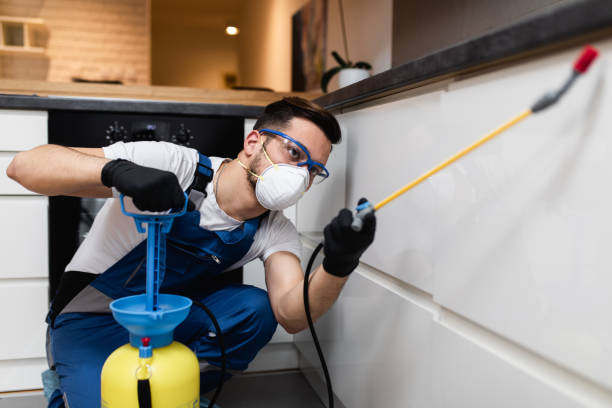 Best Pest Inspection Near Me  in Biloxi, MS