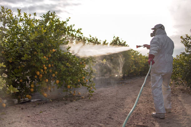 Best Residential Pest Control  in Biloxi, MS