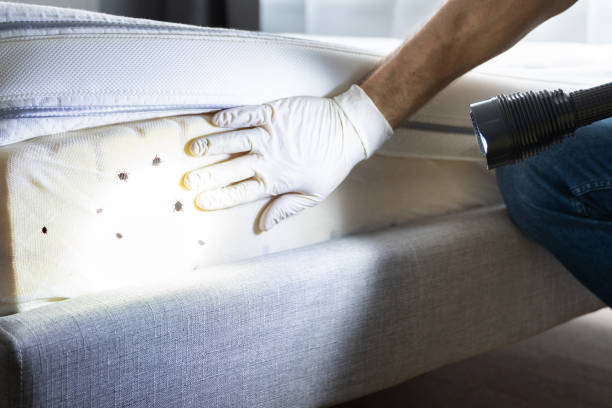 Best Wildlife Control Services  in Biloxi, MS