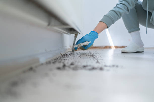 Pest Control for Restaurants in Biloxi, MS